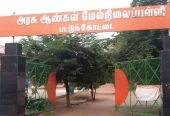 Government model Higher Secondary School